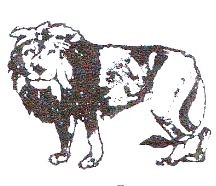 জাতীয়তাবাদী গণতান্ত্রিক আন্দোলন-এনডিএম দলের লোগো