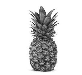 বাংলাদেশ লেবার পার্টি দলের লোগো