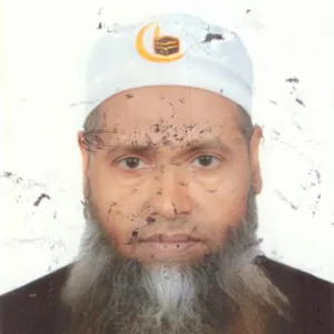 মোঃ ‌জুলফিকার আলী