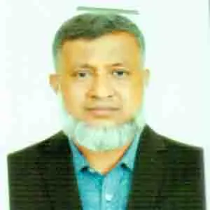 মীর সামসুল আলম